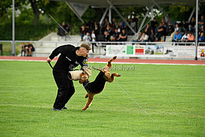 Antrax von Anna Maria