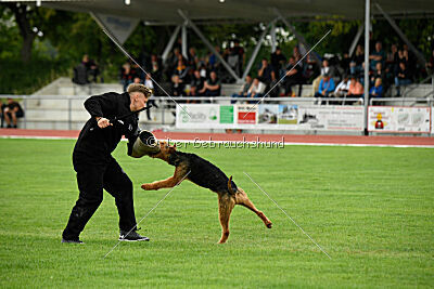 Antrax von Anna Maria