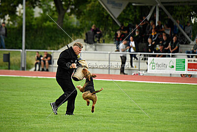 Antrax von Anna Maria