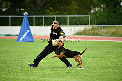 Antrax von Anna Maria