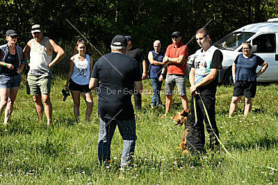 Antrax von Anna Maria