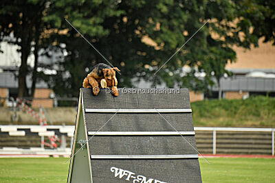 Antrax von Anna Maria