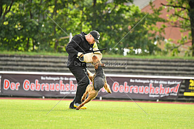 Antrax von Anna Maria