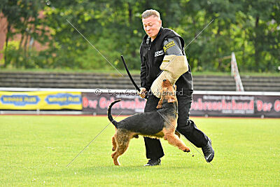 Antrax von Anna Maria