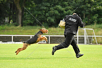 Antrax von Anna Maria