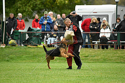 Antrax von Anna Maria