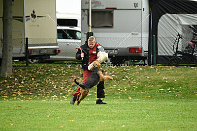 Antrax von Anna Maria