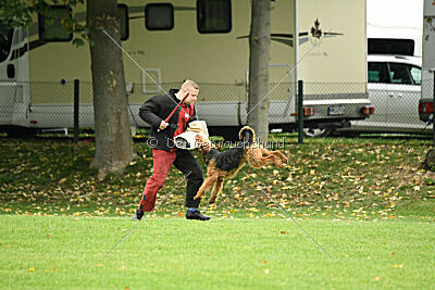 Antrax von Anna Maria