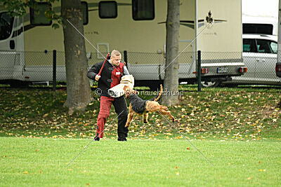 Antrax von Anna Maria