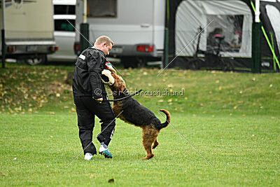 Antrax von Anna Maria