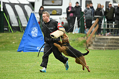 Antrax von Anna Maria