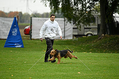 Antrax von Anna Maria