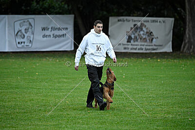 Antrax von Anna Maria