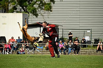 Apollo Airport Hannover