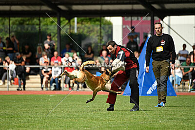 Apollo Airport Hannover