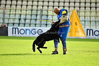 Apollo vom Schloß Solitude