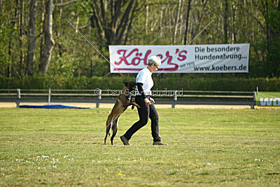 Aponi ex mera passio