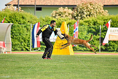 Appetitio Grande Occultatum Libera