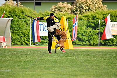 Appetitio Grande Occultatum Libera