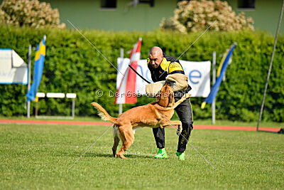 Appetitio Grande Occultatum Libera