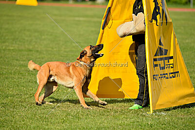 Appetitio Grande Occultatum Libera