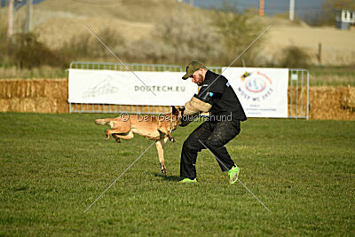 Aqua Bella Is Always Crazy