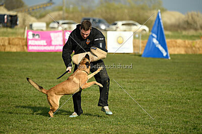 Aqua Bella Is Always Crazy