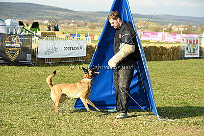 Aqua Bella Is Always Crazy