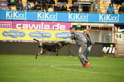 Arak Blue Rock Ranch