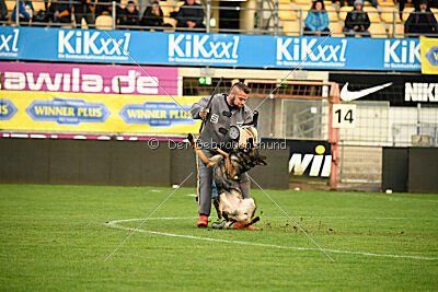 Arak Blue Rock Ranch