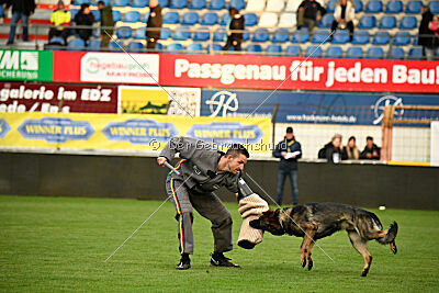 Arak Blue Rock Ranch