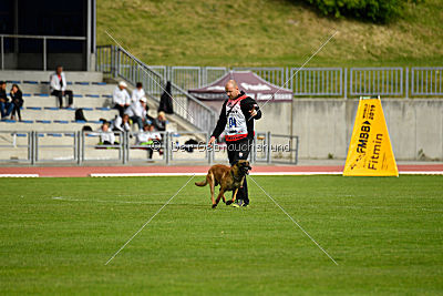 Aramis Red Devils Dog