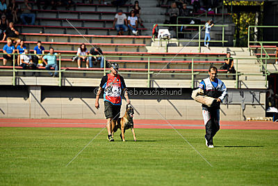 Aramis Red Devils Dog