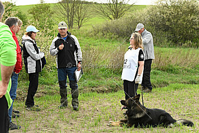 Aramis vom Hopfenbachtal