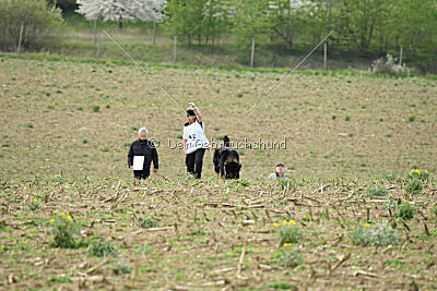 Aramis vom Hopfenbachtal