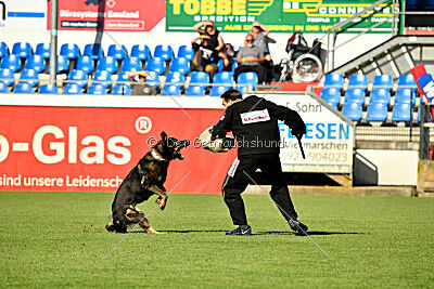 Arek von Königshand