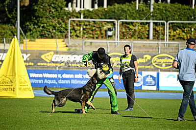 Arek von Königshand