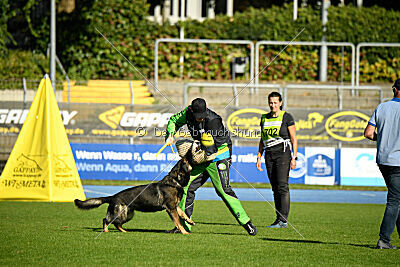 Arek von Königshand