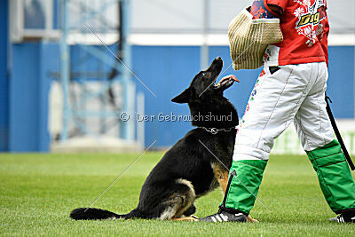 Arie van de Melia Hoeve