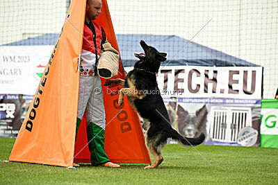 Arie van de Melia Hoeve