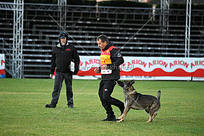 Arik von der Snively Haus