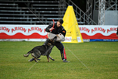 Arik von der Snively Haus