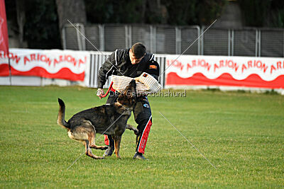 Arik von der Snively Haus