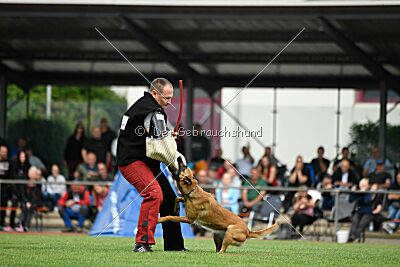 Arizona von den Heilstätten