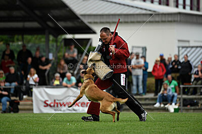 Arizona von den Heilstätten