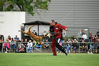 Arizona von den Heilstätten
