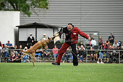 Arizona von den Heilstätten