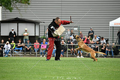 Arizona von den Heilstätten