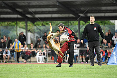 Arizona von den Heilstätten