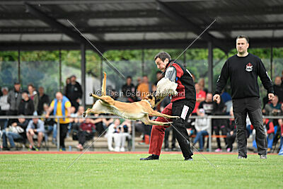 Arizona von den Heilstätten